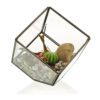 Szklane terrarium – Sześcian na Rogu - obrazek 2