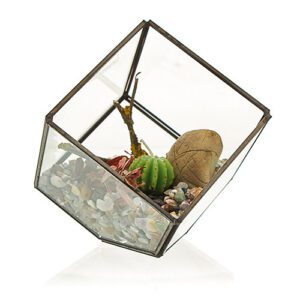 Szklane terrarium – Sześcian na Rogu