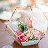 Szklane terrarium – Sześcian na Rogu - obrazek 6