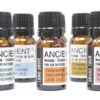 Mieszanka Aromaterapeutyczna do Auta – Skupienie i Koncentracja – 10ml - obrazek 3