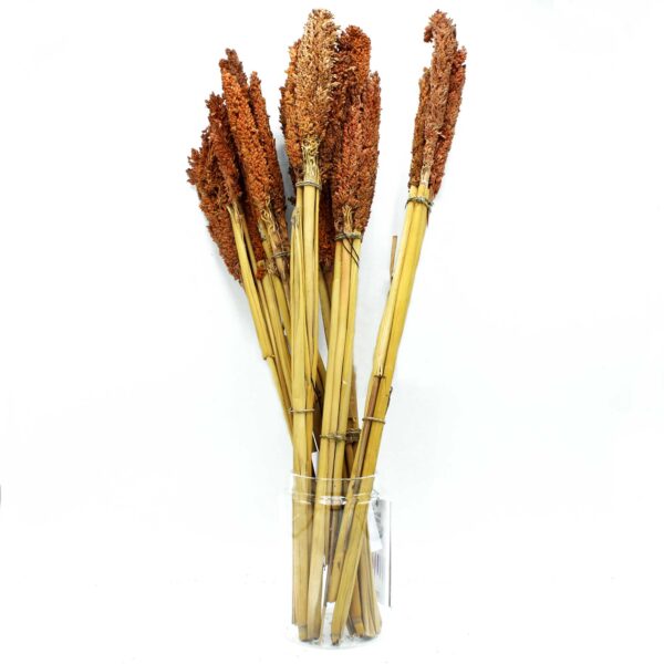 Bukiet trawy Cantal – Rudy