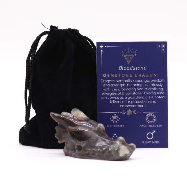 Duża Głowa Smoka z Krwawnika – 60x30x35 mm