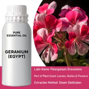 Geranium (Egipt) – 0,5 kg