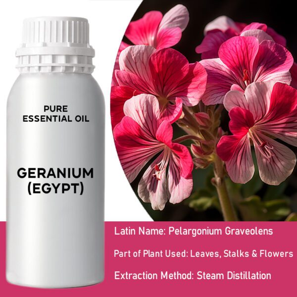 Geranium (Egipt) – 0,5 kg