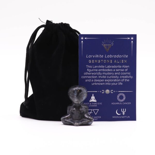 Kosmita z Larvikitu Labradorowego – 40x30x15 mm