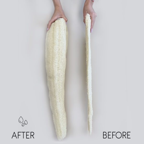 Luksusowa egipska lufa – Cała – Kompresowana – 23 cm