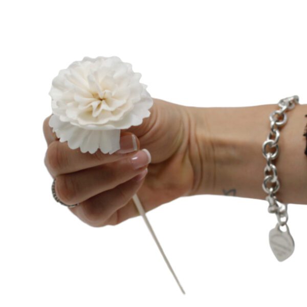 Naturalny Kwiat Dyfuzora – Goździk na Patyczku