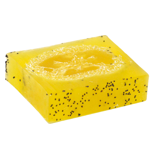 Plaster mydła z loofą 115 g – mięta pieprzowa i ziołowy peeling