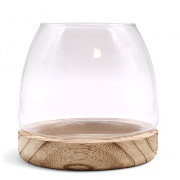 Średnie Terrarium na Naturalnym Drewnie Tung – 15×15 cm