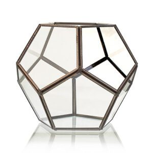 Szklane terrarium – Duży Oktagon