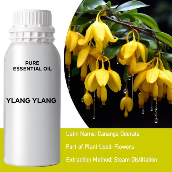 Ylang Ylang I – 0,5 kg