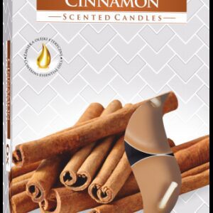 Zestaw 6 Pachnących Podgrzewaczy – Cynamon