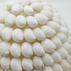 Lampa Boho z Muszli Morskiej – Buting Shell Owalna – 15 cm