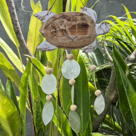 Bielona Rzeźba Żółwia i Naturalna Kapa Copis