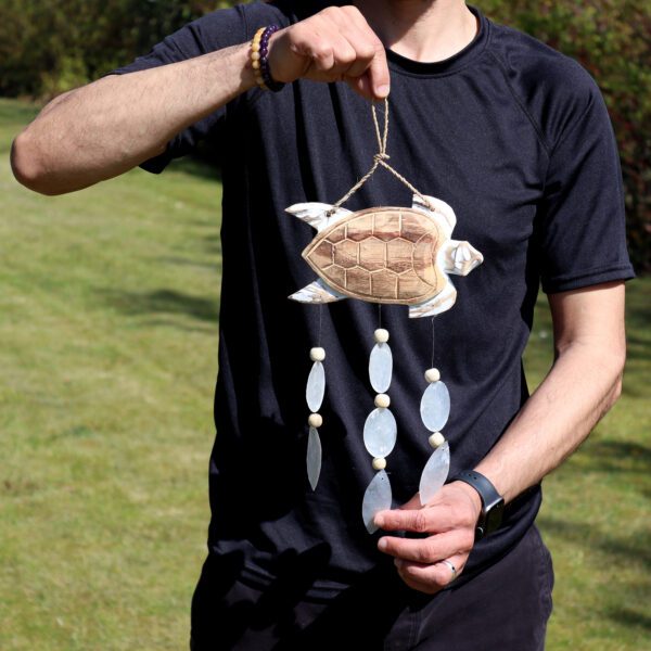 Bielona Rzeźba Żółwia i Naturalna Kapa Copis