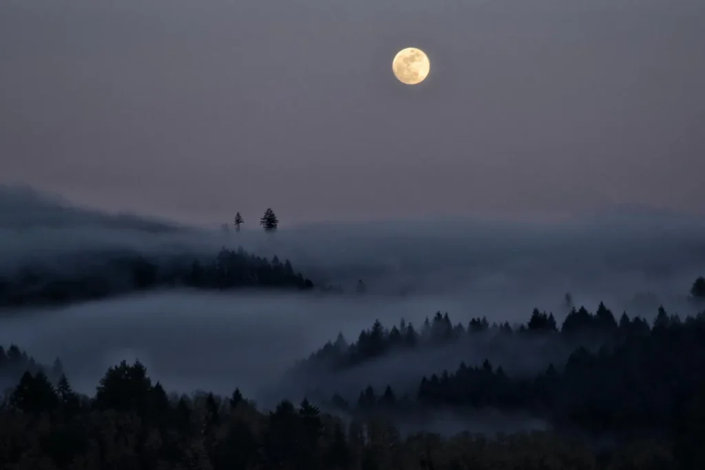 pełnia w Byku 2025 nad spokojnym lasem, Księżyc wznoszący się ponad mgłą